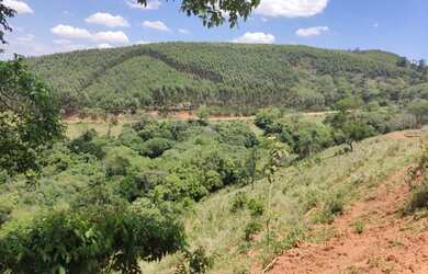 Imagem 16: Lote/Terreno para venda possui 1000 metros quadrados em Vila Santista...
