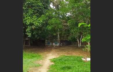 Imagem 14: Iranduba - Sítio - Iranduba