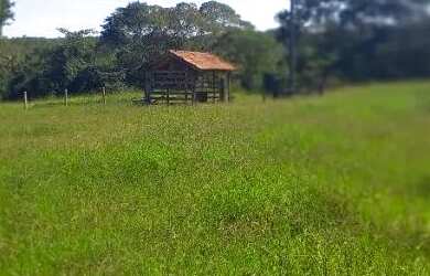 Imagem 2: Venda fazenda Unaí mg escriturada formada rio bem estrururada