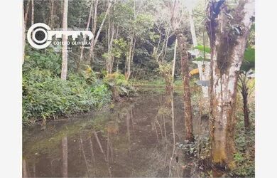 Imagem 10: Sítio à venda em Sete Barras - SP