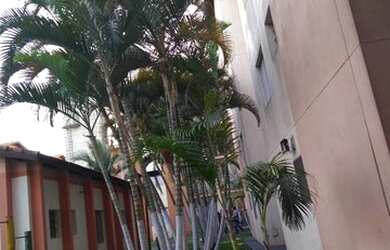 Imagem 10: Apartamento em Carapicuíba Otima Localização