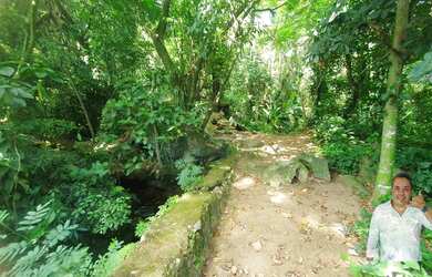 Imagem 14: TERRENO NO MEIO DA MATA -GREEN WOOD ITANHANGA