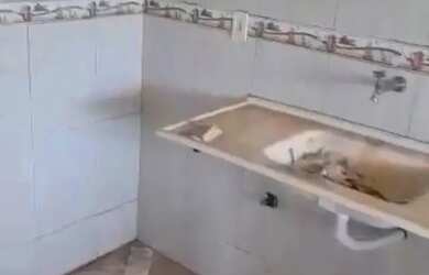 Imagem 4: Apartamento reformado Casa de Rua com 2 Quarto s e 1 banheiro s à Venda,...