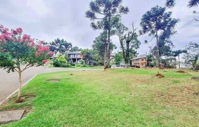 Imagem 3: TERRENO ESQUINA À VENDA ALTOS PINHEIROS/ CANELA