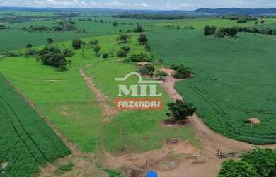 Imagem: A fazenda possui 500m² de Área e está localizado em Pontalina