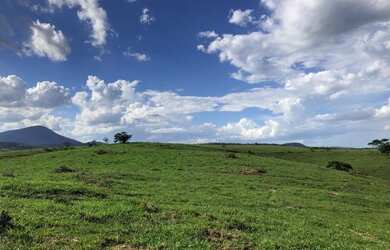 Imagem 11: Propriedade rural a venda com 12,5 alqueires legalizada entre Usina Outeiro e Rio Paraíba