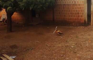 Imagem 1: Terreno com 3 casas. 1.000m² de Área