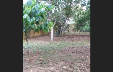 Imagem 6: Iranduba - Sítio - Iranduba