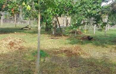 Imagem: O terreno está localizado em Jorge Teixeira, Manaus à venda