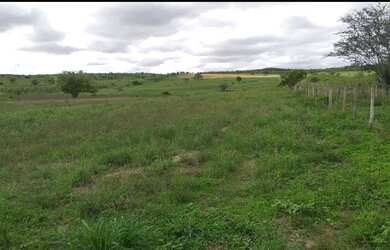 Imagem 8: Crédito Rural Para Fazendas