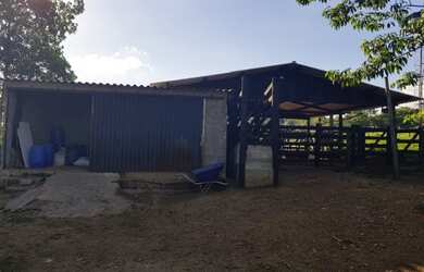 Imagem 10: chácara em inhumas. 94.000m² de Área