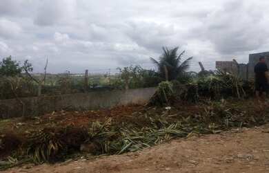 Imagem 1: Terreno no conde. 