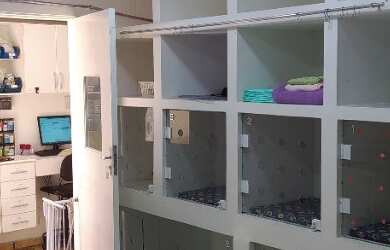 Imagem 4: Clinica Veterinária no Bairro Ipiranga Perto do Museu do Ipiranga