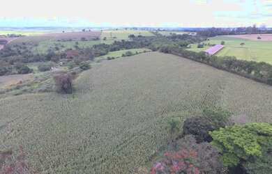 Imagem: A fazenda está localizado em Porto Feliz, SP à venda por R$550.000