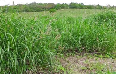 Imagem 10: Crédito Rural Para Fazendas