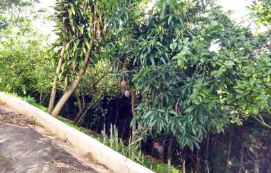 Imagem: O terreno possui 2010m² de Área e está localizado em Morro