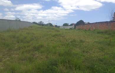 Imagem 2: Terrenos GRANDES e LEGALIZADOS . QUEM VÊ COMPRA $55.000,00 CADA. Estudo proposta