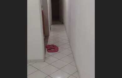 Imagem 4: Alugo Apt. 50m² de Área, 2 Vagas na garageme2 Dormitórios