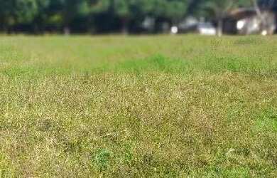 Imagem 4: Venda fazenda Unaí mg escriturada formada rio bem estrururada