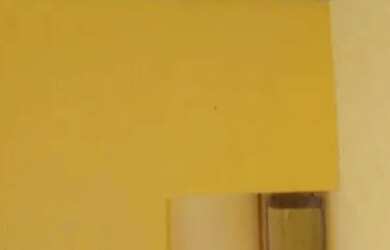 Imagem 3: Vendo casa 2 quartos lote 250 MTS, Ceilândia Norte