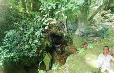 Imagem 16: TERRENO NO MEIO DA MATA -GREEN WOOD ITANHANGA