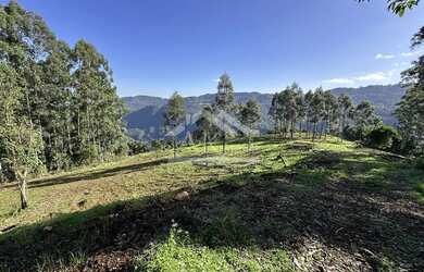 Imagem 9: Área de terra de 27,9 ha com vista panorâmica à venda em Nova Petrópolis na Serra Gaúcha