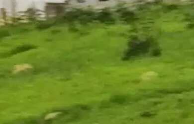 Imagem 11: AREA - TERRA PRETA - SP. 40.000m² de Área