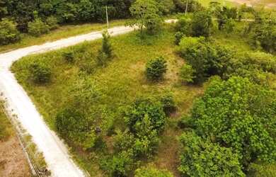 Imagem 8: Terreno 2791m² no Cond. Tatuamunha Golf and Country