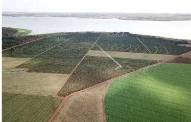 Imagem 4: fazenda de 158,33 hectares na região da cidade de Votuporanga