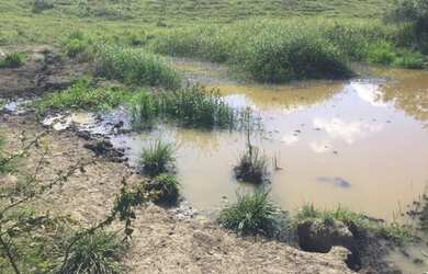 Imagem 6: Propriedade rural a venda com 12,5 alqueires legalizada entre Usina Outeiro e Rio Paraíba