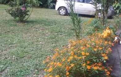 Imagem 5: Casa aconchegante na Serra, fogueira de jardim e paz