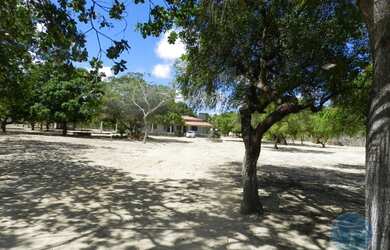 Imagem 3: SãO JOSE DE MIPIBú - Casa Padrão - São José De Mipibu