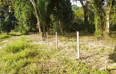 Imagem 2: Área livre. 5.000m² de Área