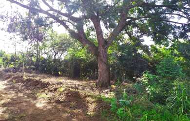 Imagem 7: Terreno condomínio Barra Verde Boa Vista Aparecida