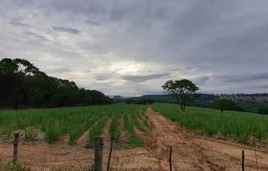 Imagem: A fazenda possui 546.920m² de Área e está localizado em