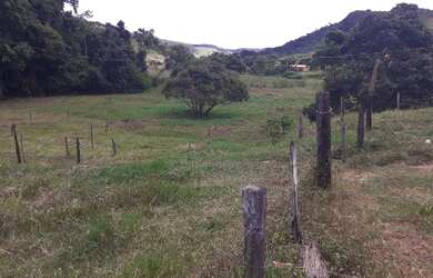 Imagem 15: Terra em tarumirim. 