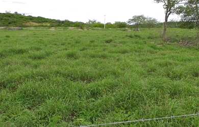 Imagem 1: Crédito Rural Para Fazendas