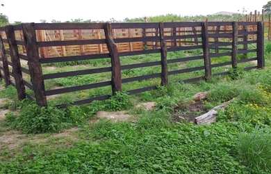 Imagem 3: Crédito Rural Para Fazendas