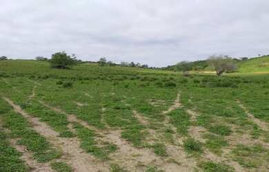 Imagem 2: Crédito Rural Para Fazendas