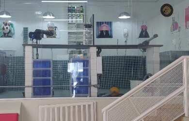 Imagem: O depósito possui 5 Vagas na garagem, 232m² de Área e está