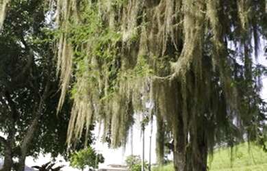 Imagem 9: Condomínio Pedra Verde Maricá - Venha morar cercado da natureza
