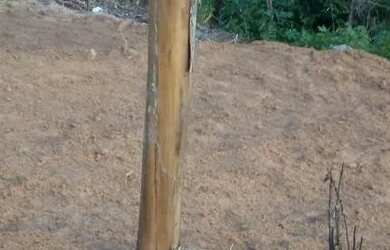 Imagem 3: Vendo Terreno. 