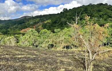 Imagem 13: Terreno de 500 metros com maravilhosa vista e ótima topografia