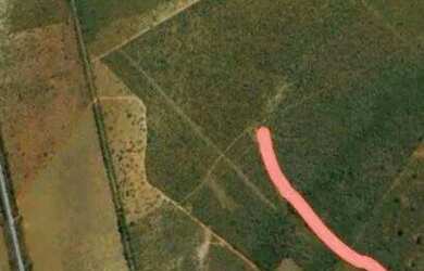 Imagem 3: Vendo Fazenda 55,4 ha, plana de cultura a 1km do asfalto