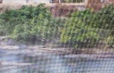 Imagem 5: VENDO FAZENDA 2988 hec ESCRITURADA REGIÃO DE AMAJARI RORAIMA 4250