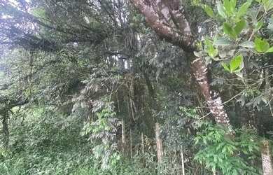 Imagem 6: Área rural para venda. 30.401m² de Área