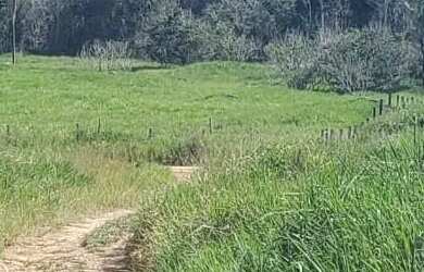 Imagem 2: VENDO FAZENDA 2988 hec ESCRITURADA REGIÃO DE AMAJARI RORAIMA 4250