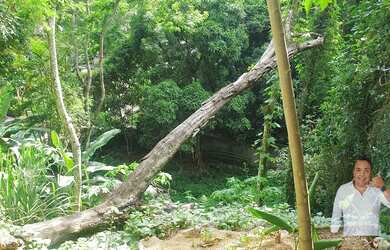 Imagem 11: TERRENO NO MEIO DA MATA -GREEN WOOD ITANHANGA