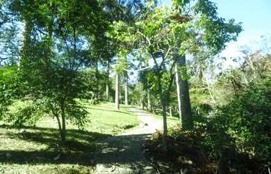 Imagem 13: Condomínio Alto das Videiras - Vale dos Vinhedos