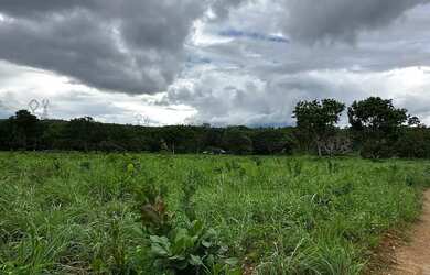 Imagem 13: Fazenda Niquelandia. 1.580.000m² de Área